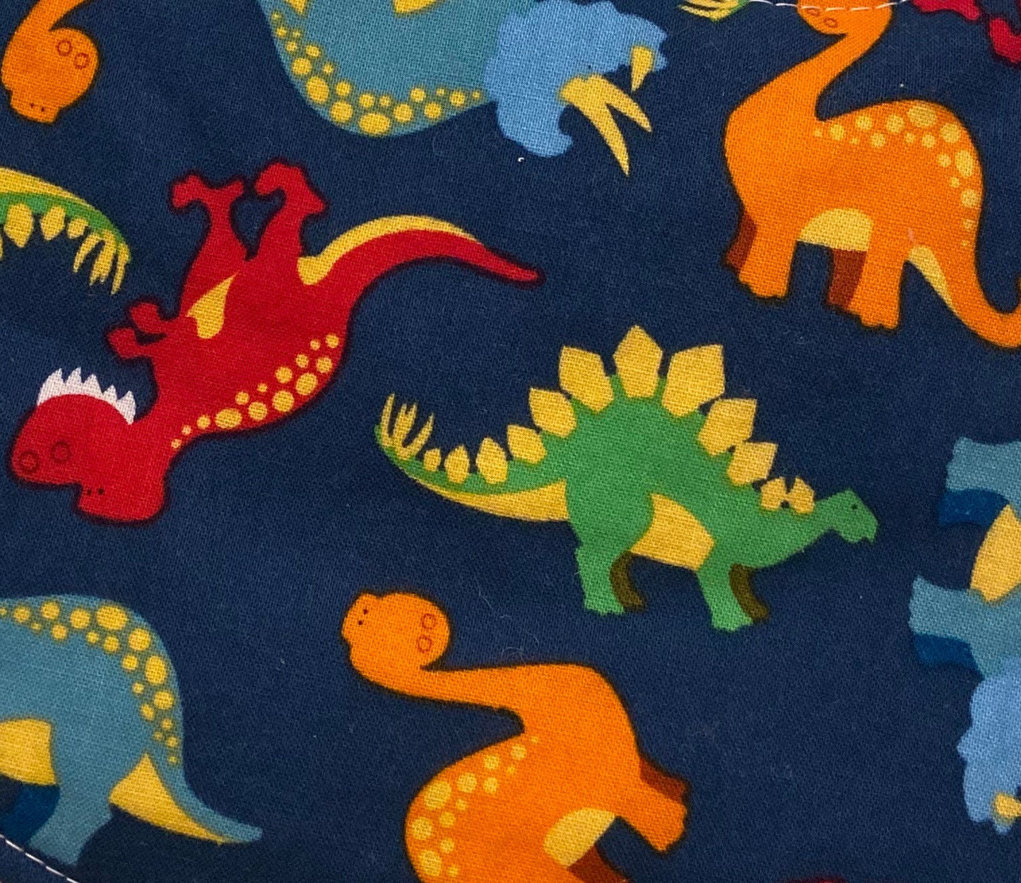 Dinosaur Bib (fits up to 24 months)