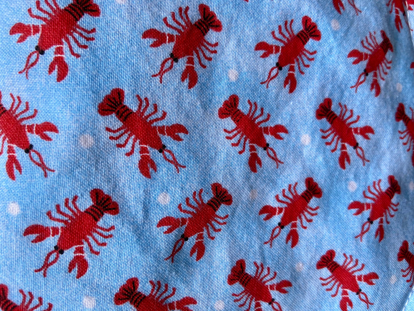 Lobster Burp Cloth and Bib Set - Set of 3